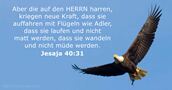 jesaja 40:31