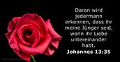 johannes 13:35