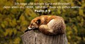 psalmen 4:9