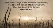 spruche 13:3