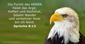 spruche 8:13