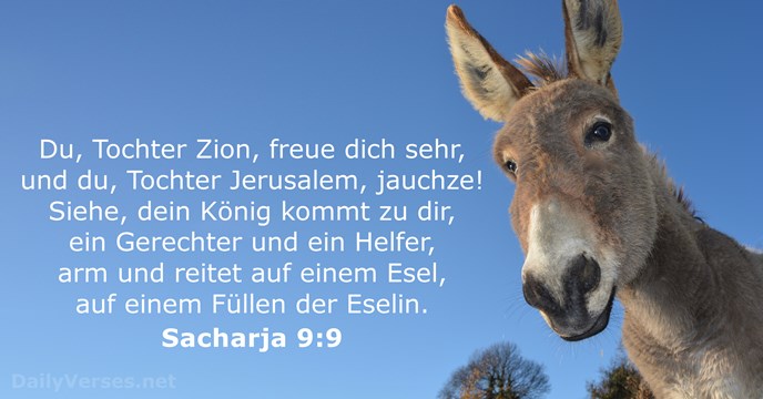 sacharja 9:9
