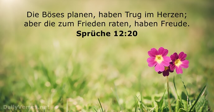 Sprüche 12:20