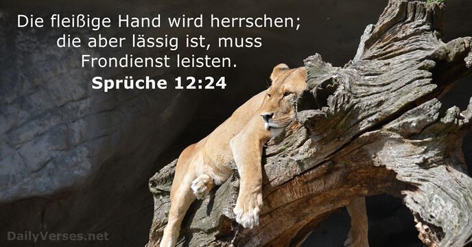 spruche 12:24