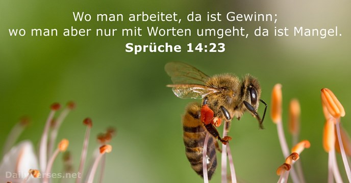 Sprüche 14:23