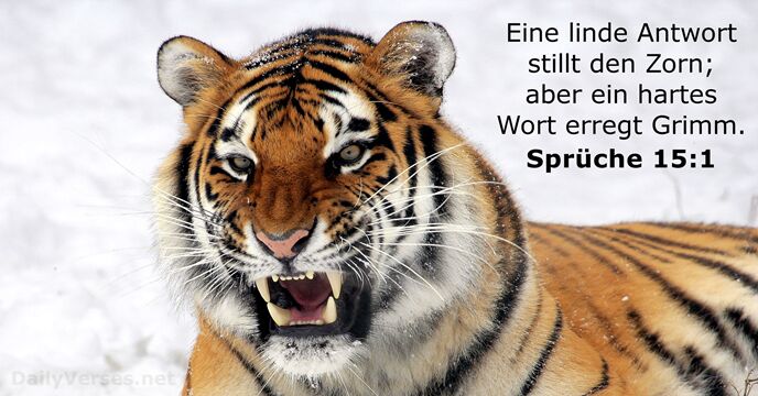 spruche 15:1