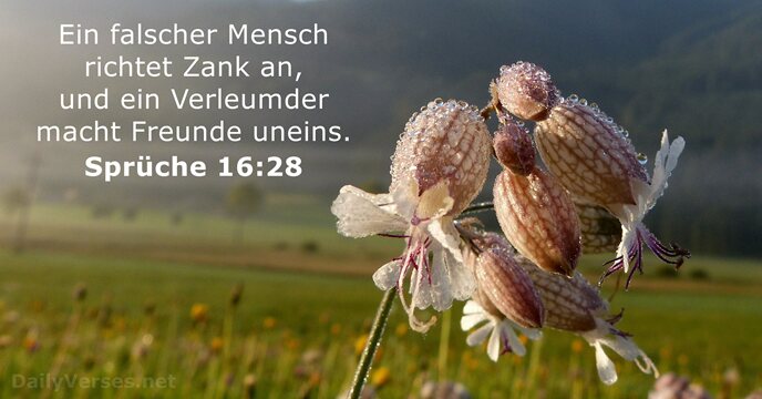 spruche 16:28
