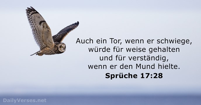 spruche 17:28