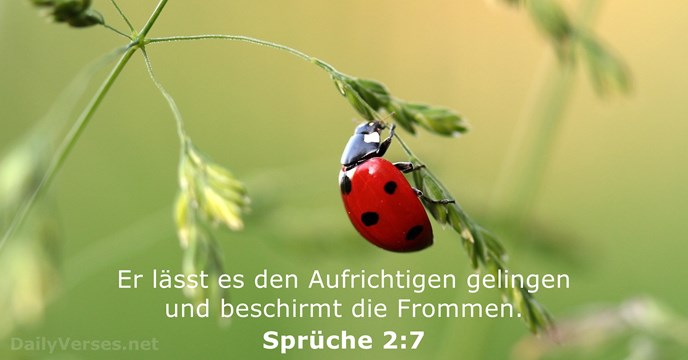 spruche 2:7