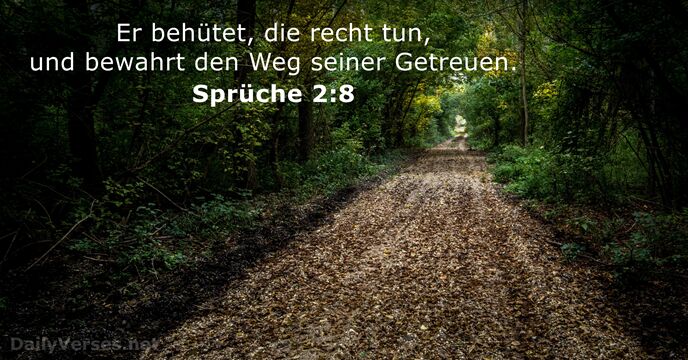 Sprüche 2:8