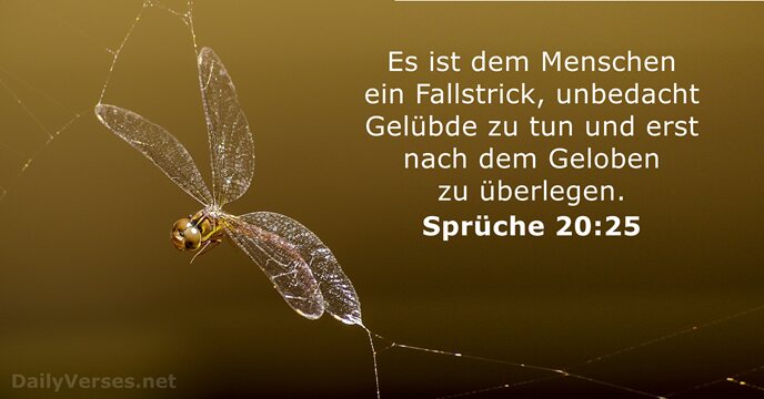 Sprüche 20:25