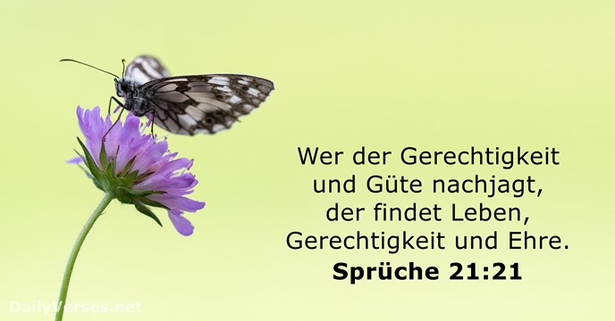 Sprüche 21:21