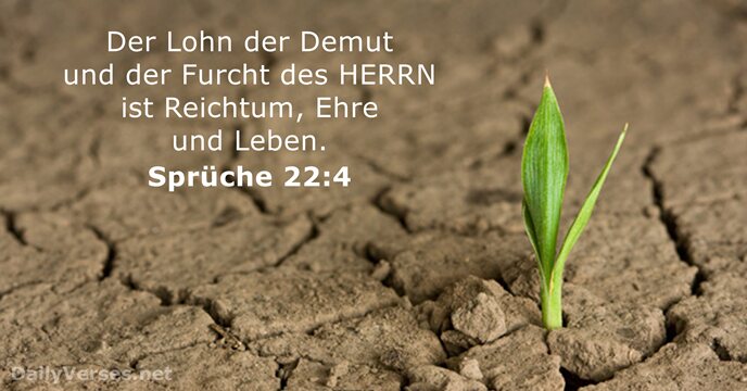 Sprüche 22:4
