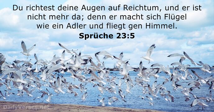spruche 23:5