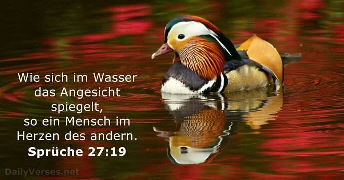 spruche 27:19