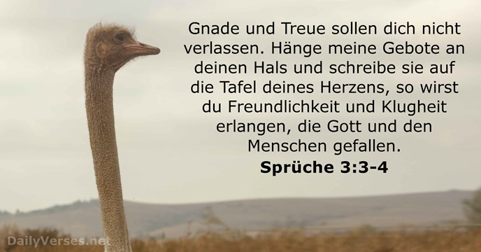 spruche 3:3-4