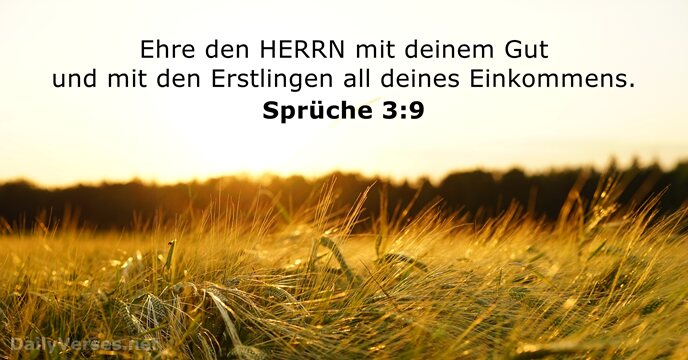 spruche 3:9