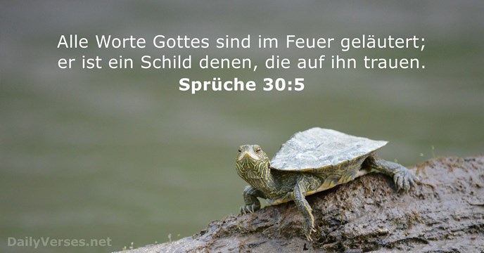 spruche 30:5