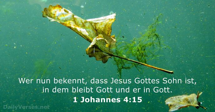 Wer nun bekennt, dass Jesus Gottes Sohn ist, in dem bleibt Gott… 1 Johannes 4:15