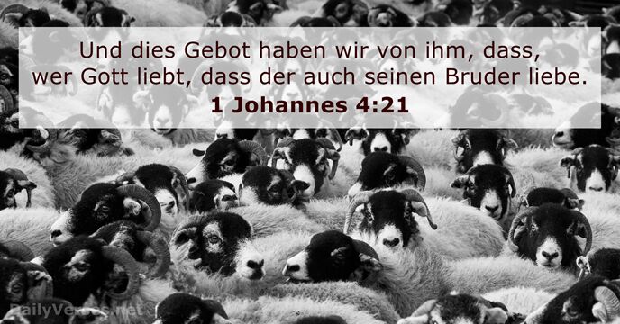 1 Johannes 4:21