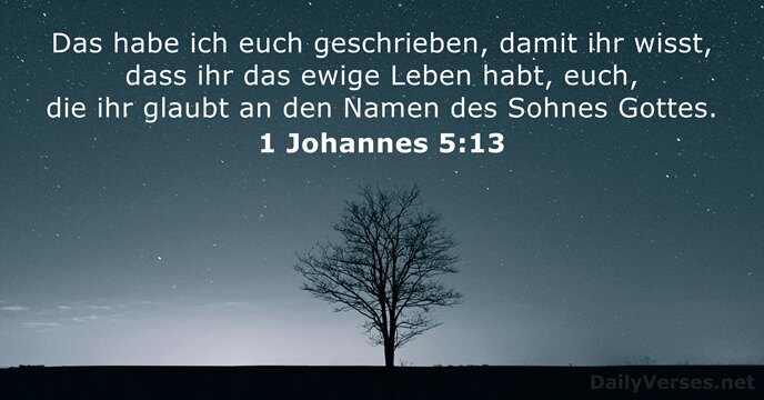 1 Johannes 5:13