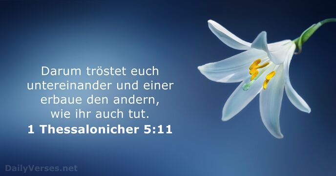 Darum tröstet euch untereinander und einer erbaue den andern, wie ihr auch tut. 1 Thessalonicher 5:11