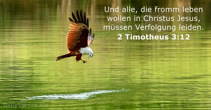 Und alle, die fromm leben wollen in Christus Jesus, müssen Verfolgung leiden. 2 Timotheus 3:12