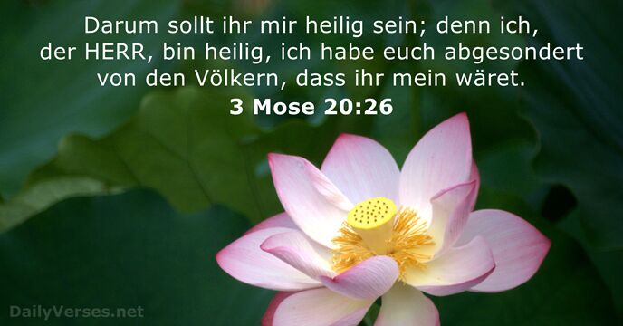 Darum sollt ihr mir heilig sein; denn ich, der HERR, bin heilig… 3 Mose 20:26