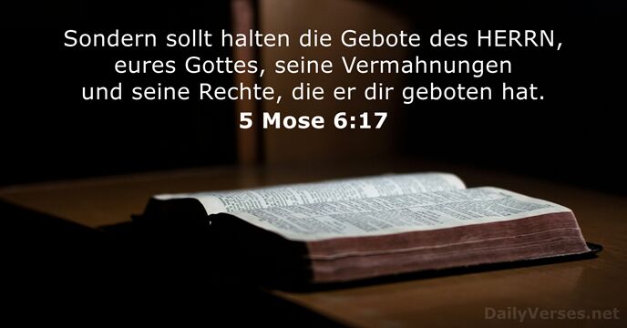 5 Mose 6:17