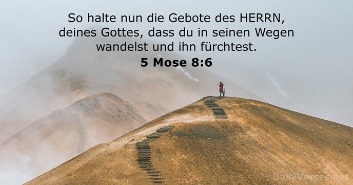 5 Mose 8:6