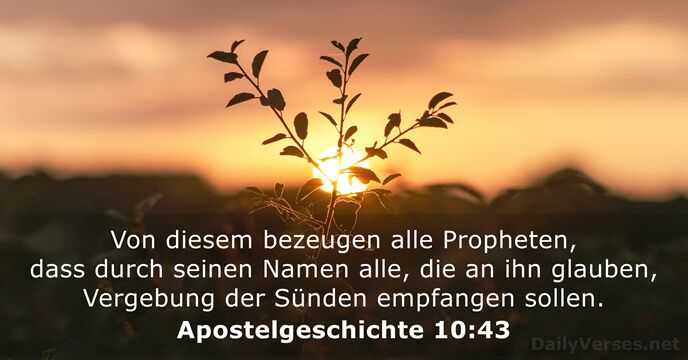 Von diesem bezeugen alle Propheten, dass durch seinen Namen alle, die an… Apostelgeschichte 10:43