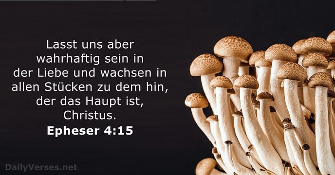 Epheser 4:15