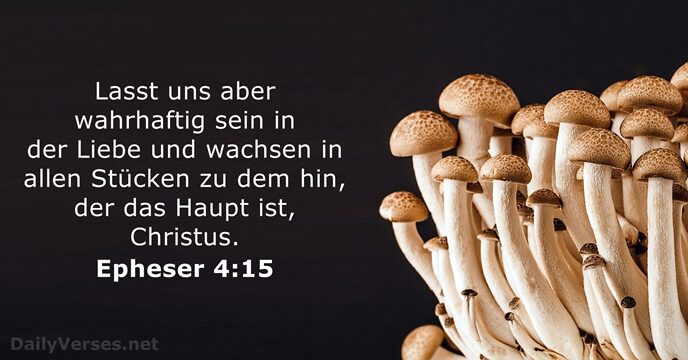 Lasst uns aber wahrhaftig sein in der Liebe und wachsen in allen… Epheser 4:15