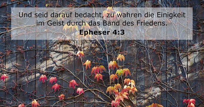 Epheser 4:3