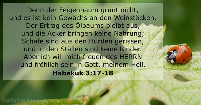 Denn der Feigenbaum grünt nicht, und es ist kein Gewächs an den… Habakuk 3:17-18