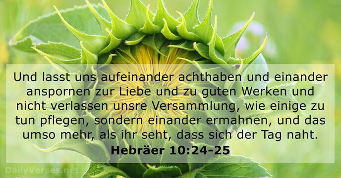 Und lasst uns aufeinander achthaben und einander anspornen zur Liebe und zu… Hebräer 10:24-25