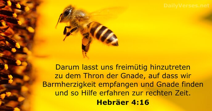 Darum lasst uns freimütig hinzutreten zu dem Thron der Gnade, auf dass… Hebräer 4:16