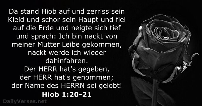 Hiob 1:20-21