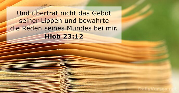 Hiob 23:12