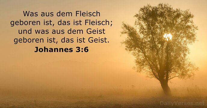 Johannes 3:6