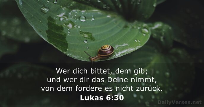 Lukas 6:30