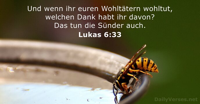 Lukas 6:33