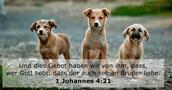 1 Johannes 4:21