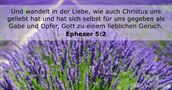 Epheser 5:2