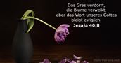 Jesaja 40:8