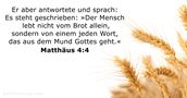 Matthäus 4:4