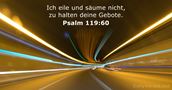Psalmen 119:60