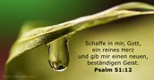 Psalmen 51:12