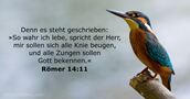 Römer 14:11