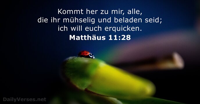 Kommt her zu mir, alle, die ihr mühselig und beladen seid; ich… Matthäus 11:28